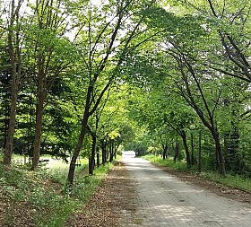 갤러리 이미지 2