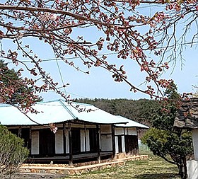 갤러리 이미지 1