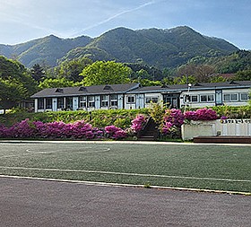 갤러리 이미지 3