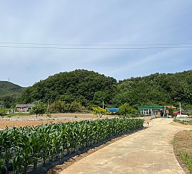 갤러리 이미지 4
