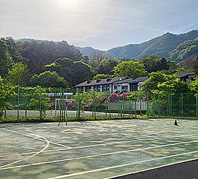 갤러리 이미지 4