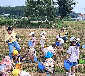 갤러리 이미지 1
