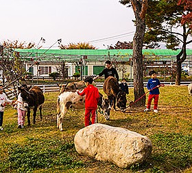 갤러리 이미지 2