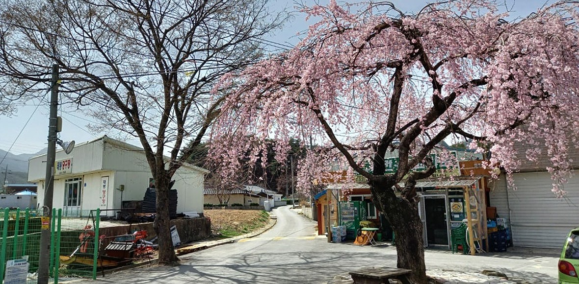 정감이마을 대표 이미지